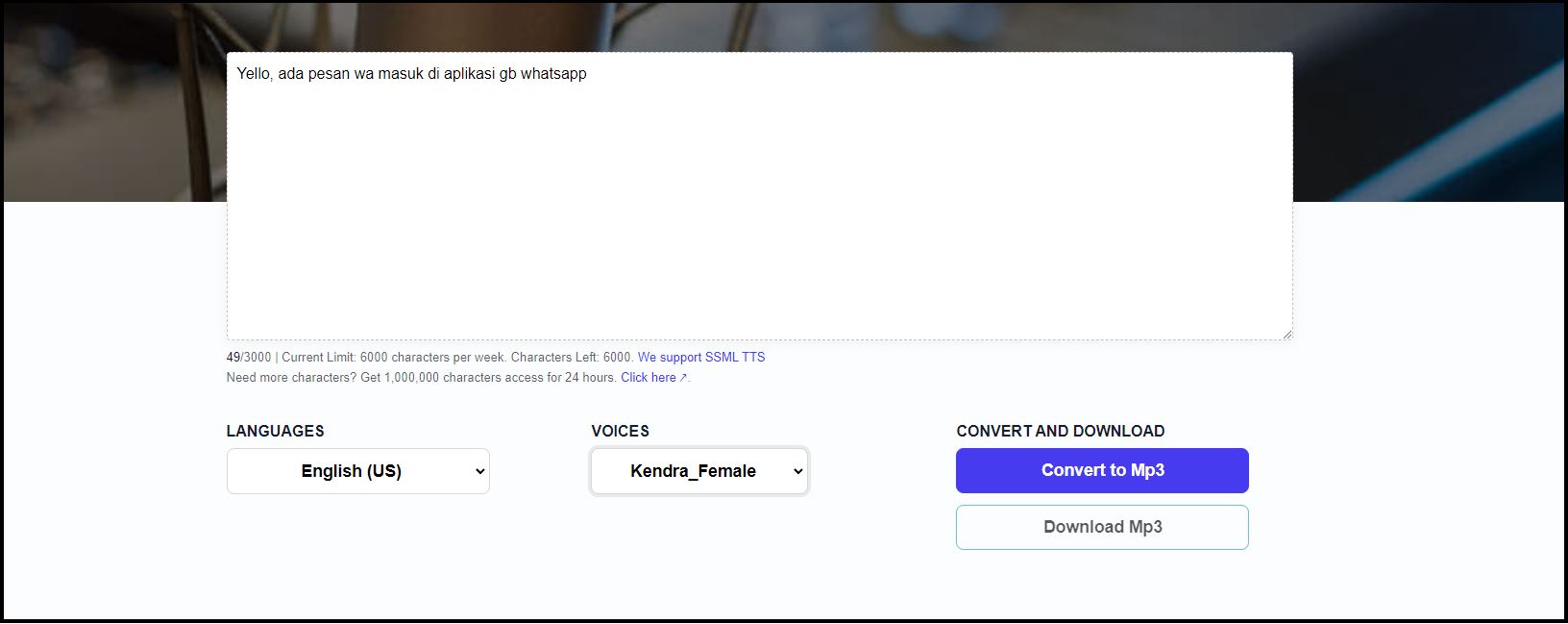 Google Voice Selection